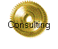 Consulting