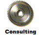 Consulting